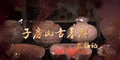 子房山古墓群发掘记 2022封面