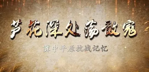 芦花深处荡敌寇：冀中平原抗战记忆 2023封面