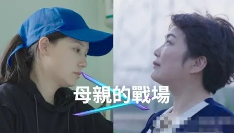 母亲的战场 2026封面