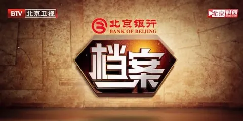 档案2012封面