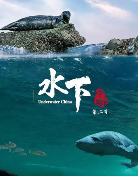 水下中国 第2季 全6集封面