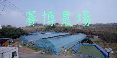 赛博农场 2026封面